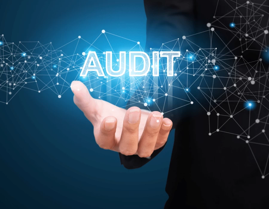 Third-Party Auditing Services